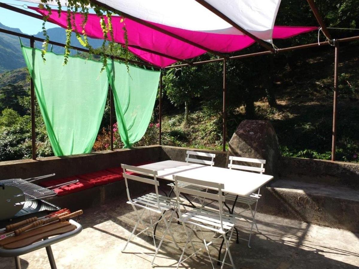 Appartement Raffine A Feliceto 120 M² Avec Vue Sur Montagne Eksteriør billede