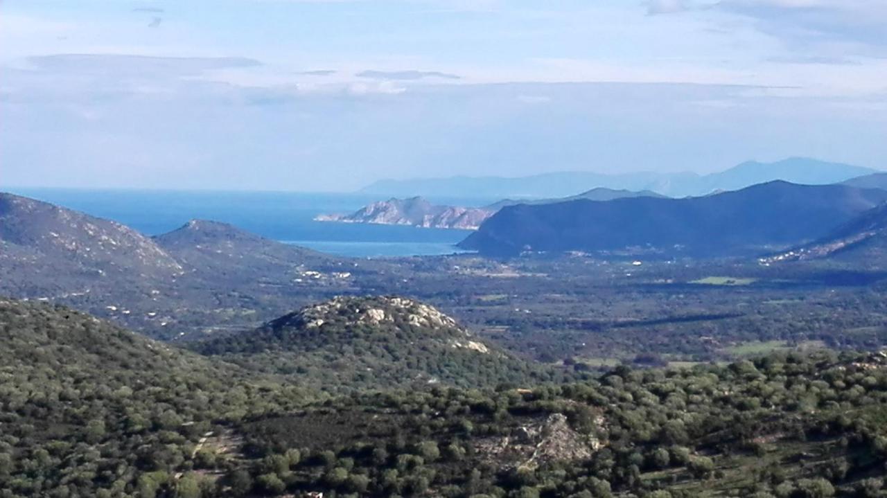 Appartement Raffine A Feliceto 120 M² Avec Vue Sur Montagne Eksteriør billede